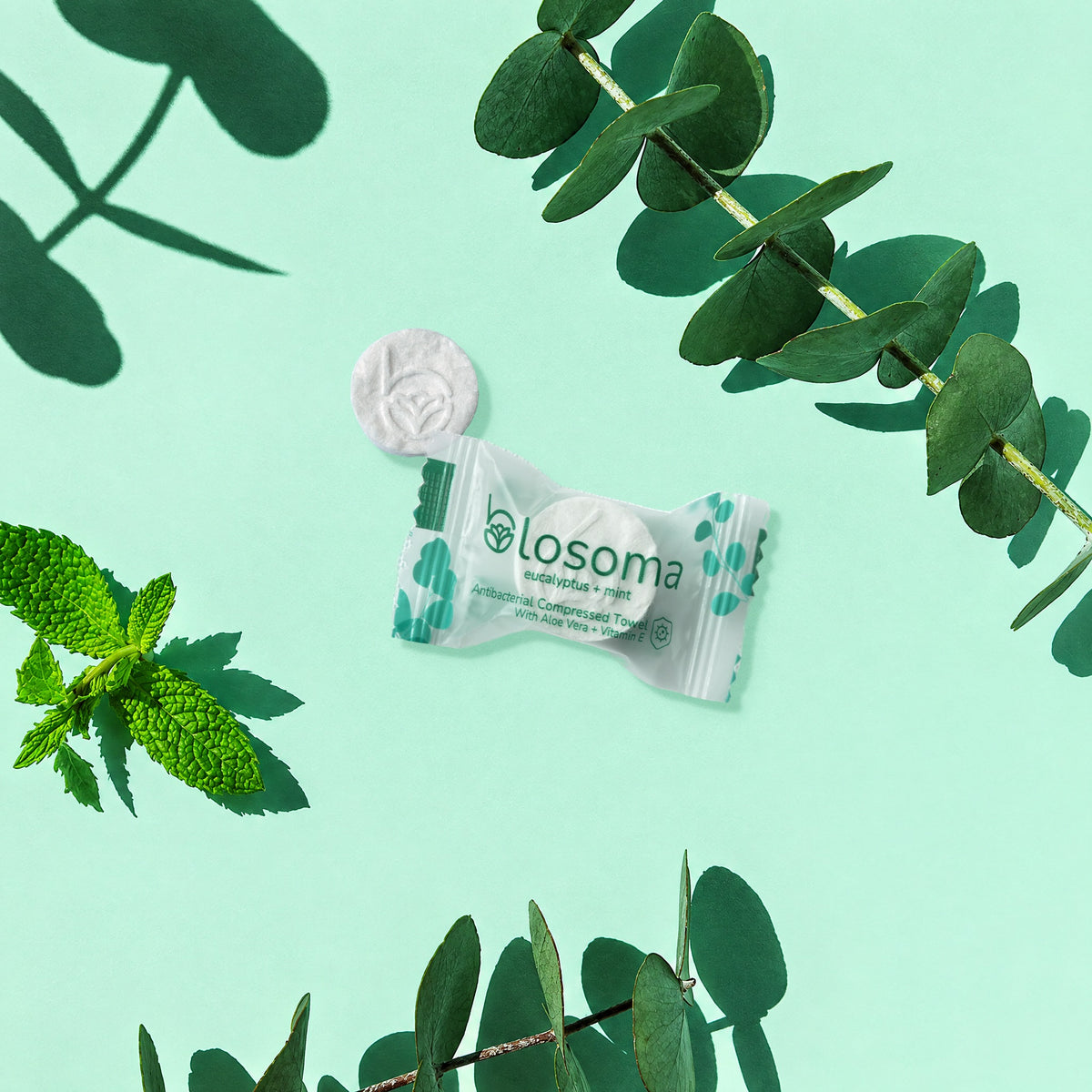 Wrapped eucalyptus + mint antibacterial compressed towel and tablet